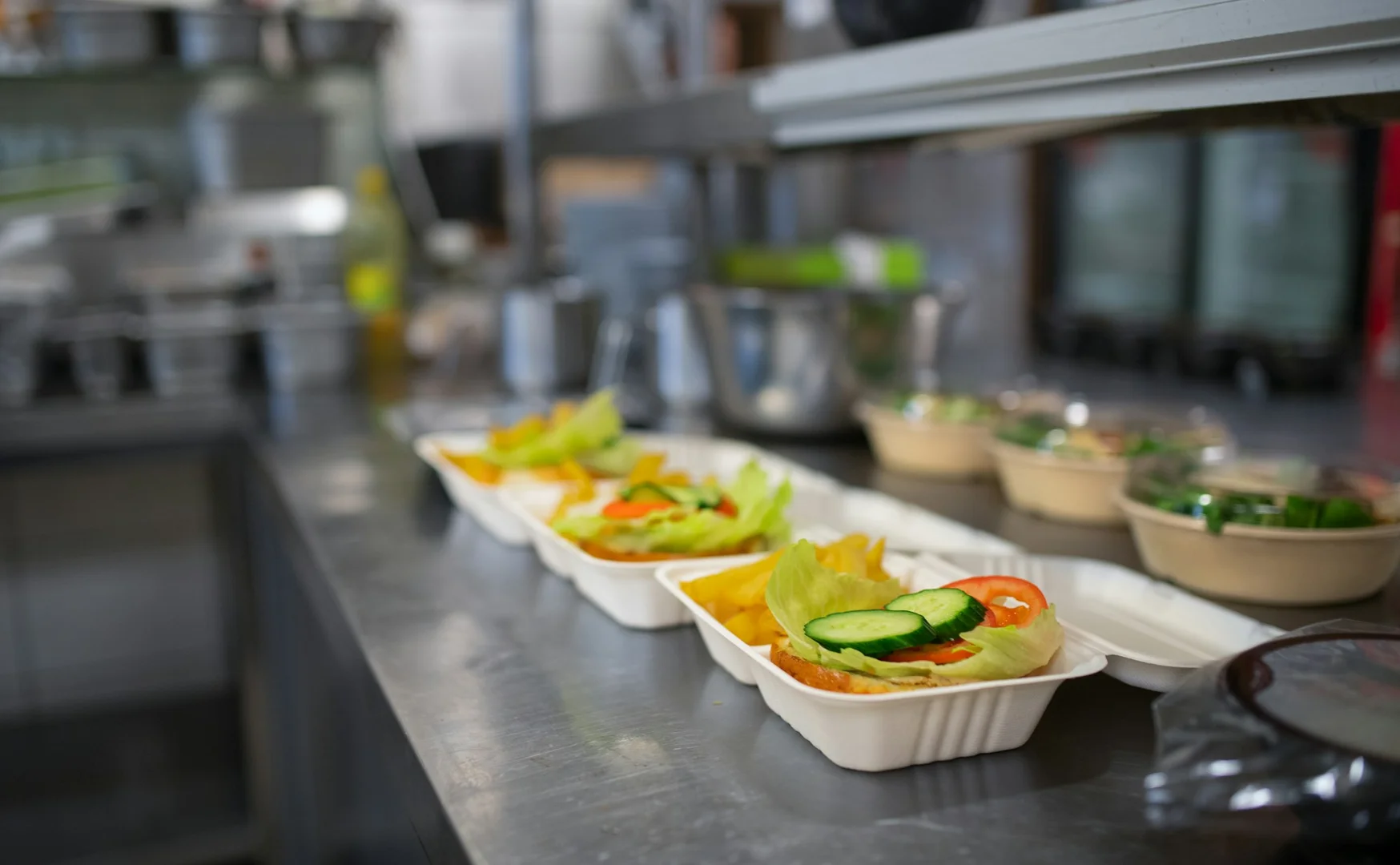 Prepared vegetarian school lunches showing balanced nutrition for growing students.